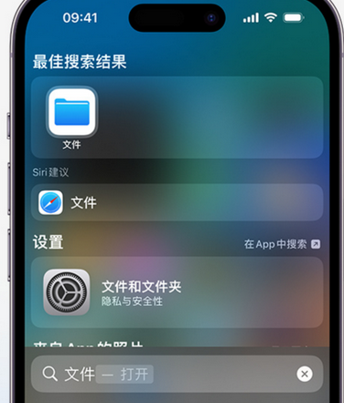 武穴apple维修中心分享iPhone文件应用中存储和找到下载文件