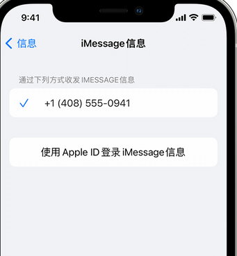 武穴apple维修iPhone上无法正常发送iMessage信息 