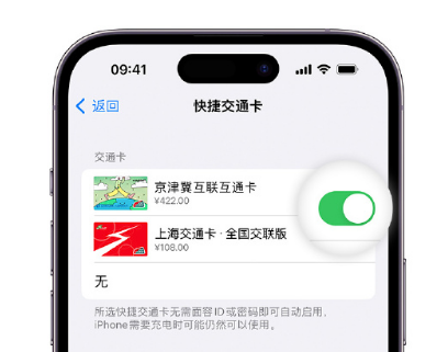 武穴apple维修点分享iPhone上更换Apple Pay快捷交通卡手绘卡面 