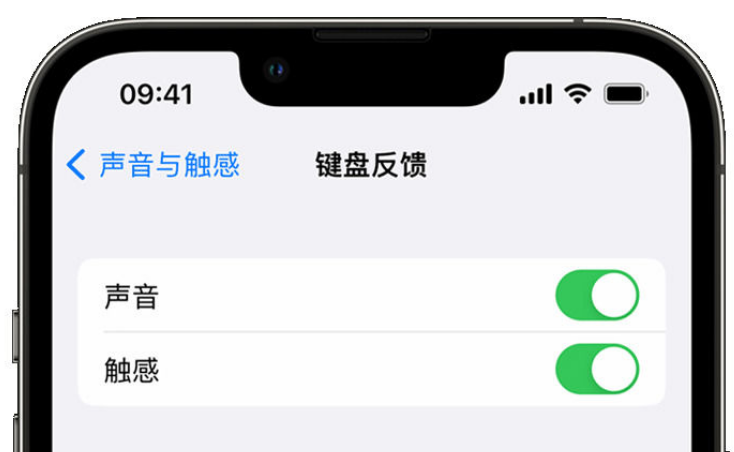 武穴苹果手机维修分享iPhone 14触感键盘使用方法 