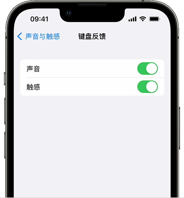 武穴苹果14维修店分享如何在 iPhone 14 机型中使用触感键盘 