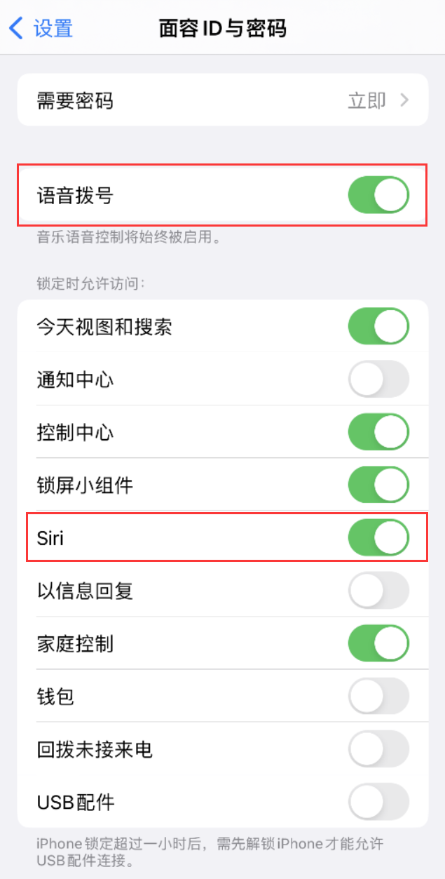 武穴苹果维修网点分享不解锁 iPhone 的情况下通过 Siri 拨打电话的方法 