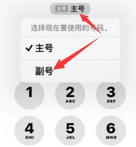 武穴苹果14维修店分享iPhone 14 Pro Max使用副卡打电话的方法 