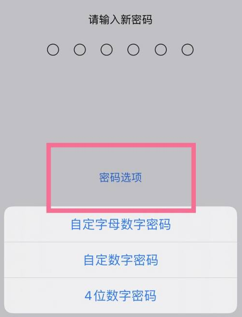 武穴苹果14维修分享iPhone 14plus设置密码的方法 