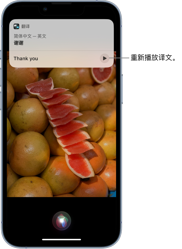 武穴苹果14维修分享 iPhone 14 机型中使用 Siri：了解 Siri 能帮你做什么 