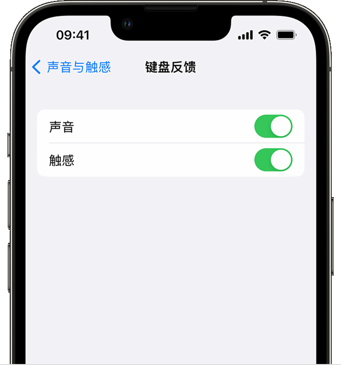 武穴苹果14维修分享iPhone 14 系列机型如何开启键盘声音或触感反馈 
