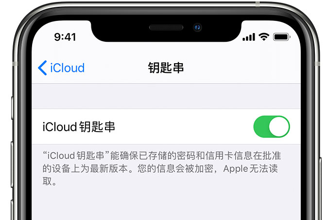 武穴苹果手机维修分享在 iPhone 上开启 iCloud 钥匙串之后会储存哪些信息 