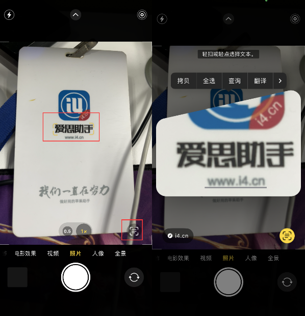 武穴苹果手机维修分享升级iOS 16后如何通过相机翻译文本 