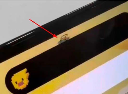 武穴苹果14维修分享iPhone 14 Pro Max灵动岛怎么养宠物 