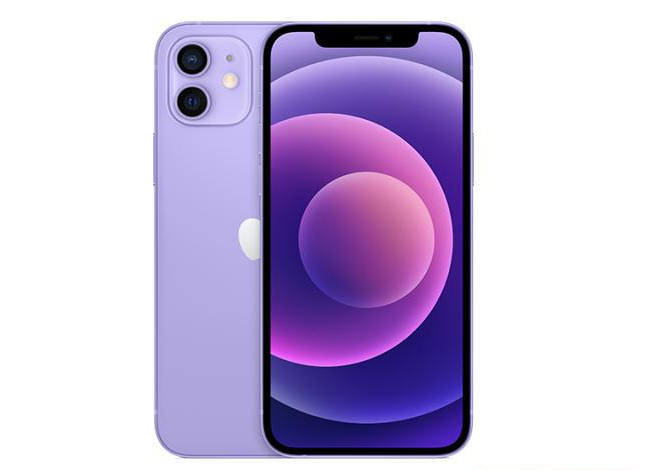 武穴苹果手机维修分享现阶段要不要入手紫色版iPhone12 