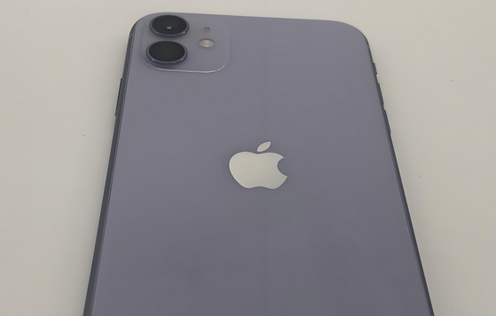 武穴苹果11系统维修分享iPhone11手机系统崩溃无法开机如何解决 