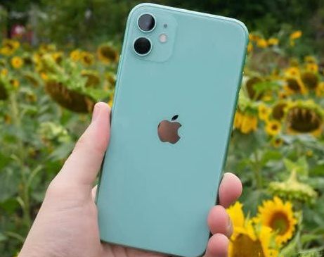 武穴苹果维修点分享iPhone 11锁屏密码认知与使用科普 