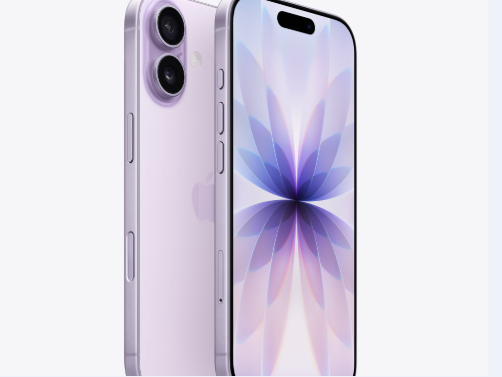 武穴苹果维修点分享iPhone 17锁屏密码使用参考 