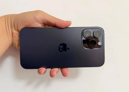 武穴苹果维修点分享iPhone 14 Pro Max黑屏少见故障盘点 